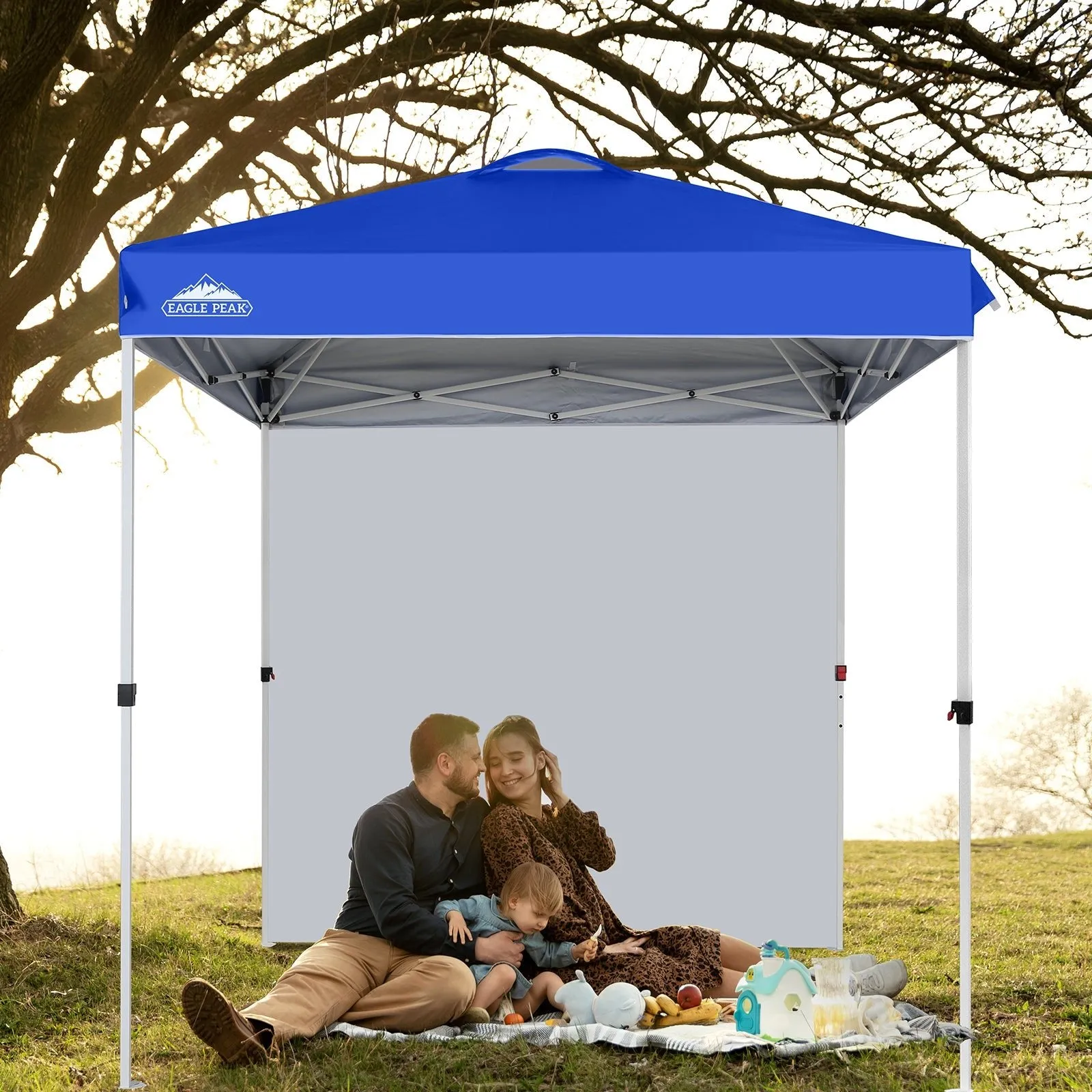 6.6x6.6 Pop Up Canopy Tent with Sidewall