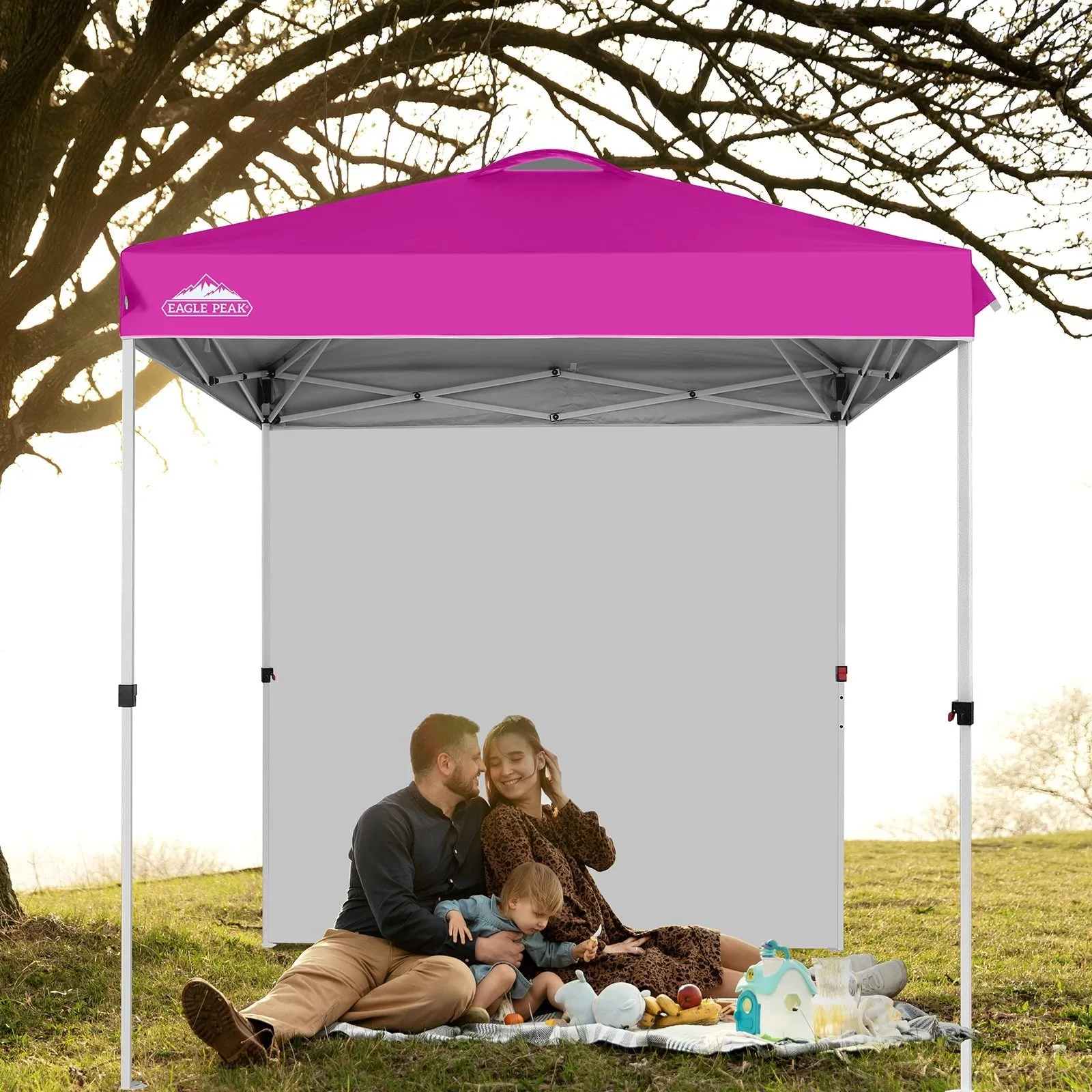6.6x6.6 Pop Up Canopy Tent with Sidewall