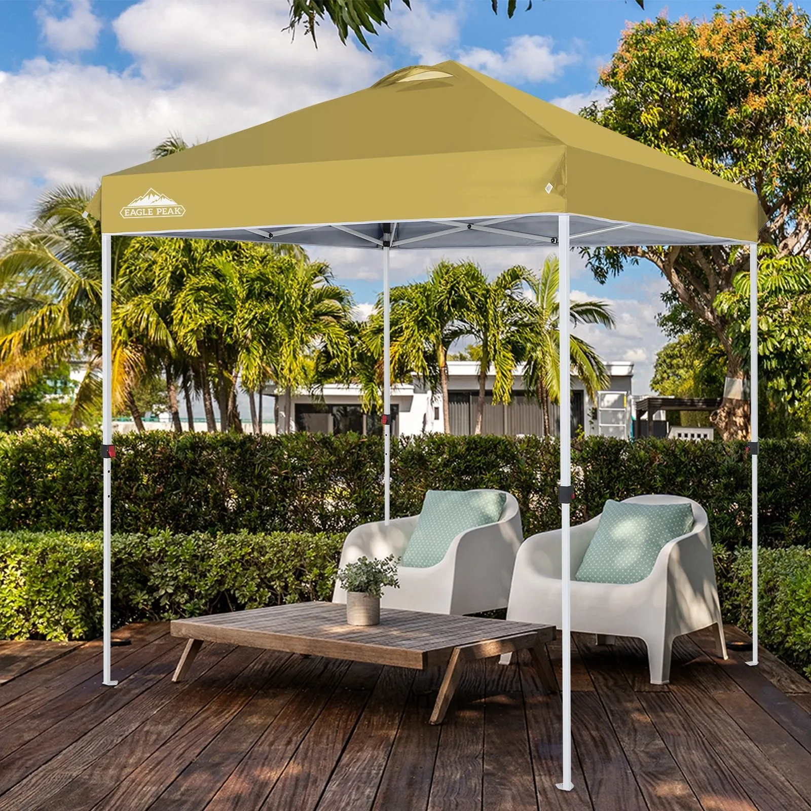 6.6x6.6 Pop Up Canopy Tent