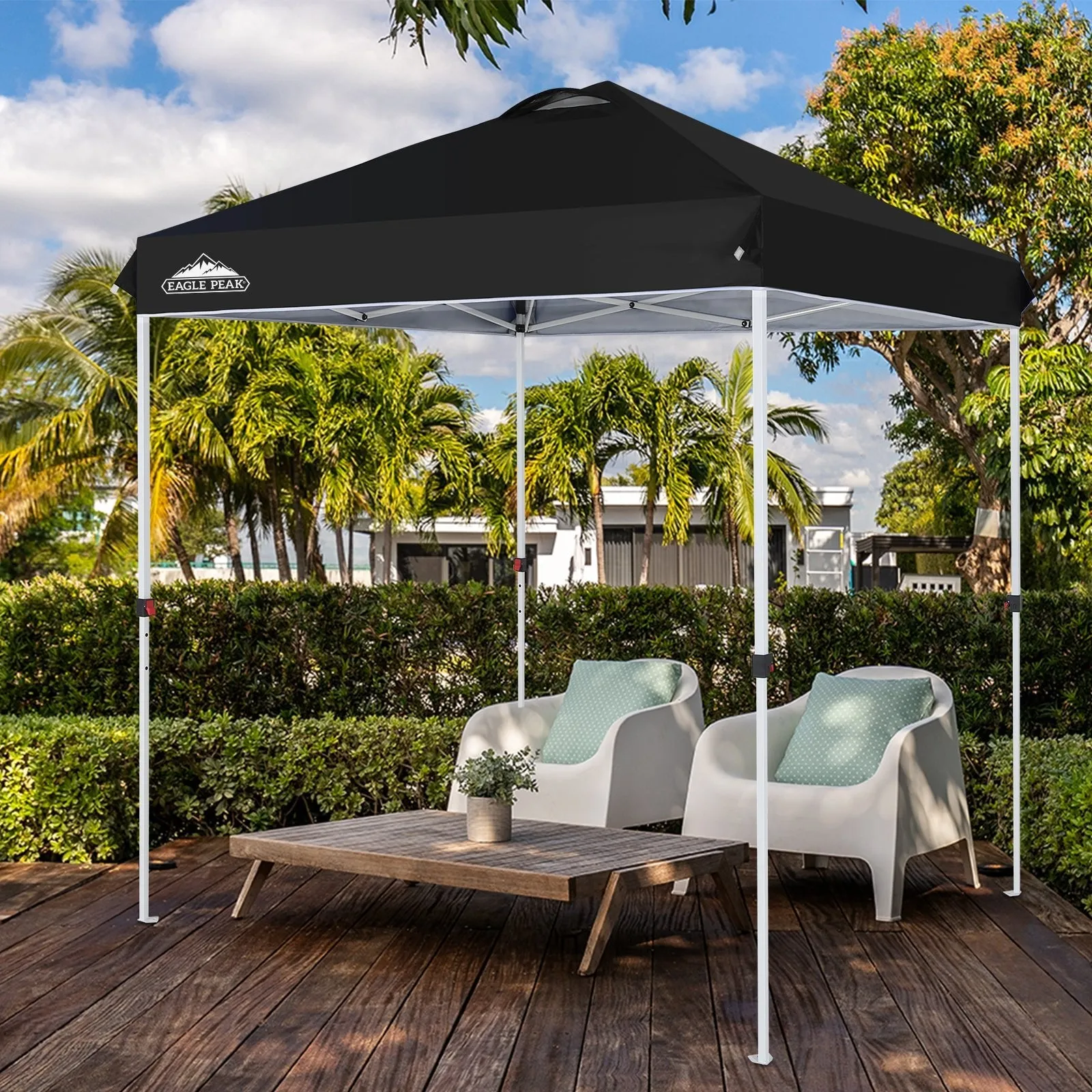 6.6x6.6 Pop Up Canopy Tent